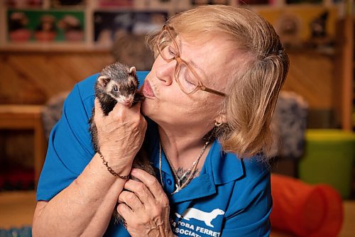 ALEX LUPUL / WINNIPEG FREE PRESS  

Deb Kelley, shelter co-ordinator for the Manitoba Ferret Association No Kill Shelter, is photographed with Cola, one of the ferrets Kelley cares for.