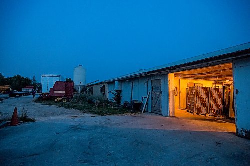 MIKAELA MACKENZIE / WINNIPEG FREE PRESS

Crates of chickens are loaded up onto the trailer at Zinn Farms southwest of Winnipeg on Wednesday, Aug. 18, 2021. For Eva story.
Winnipeg Free Press 2021.