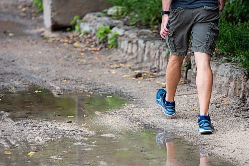 Daniel Crump / Winnipeg Free Press. Puddles line the river walk between the legislature and the Forks Saturday morning following rain fall overnight. August 28, 2021.