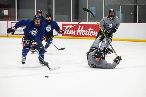 JESSICA LEE/WINNIPEG FREE PRESS

Winnipeg ICE hockey prospects attend training camp on September 2, 2021.

Reporter: Mike S.