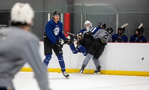 JESSICA LEE/WINNIPEG FREE PRESS

Winnipeg ICE hockey prospects attend training camp on September 2, 2021.

Reporter: Mike S.