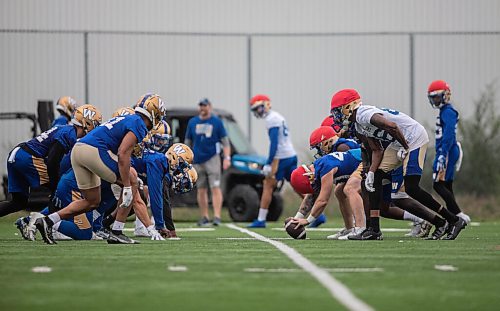 JESSICA LEE/WINNIPEG FREE PRESS

Winnipegs Blue Bombers practice training drills at University of Manitobas campus on September 2, 2021.

Reporter: Jeff Hamilton