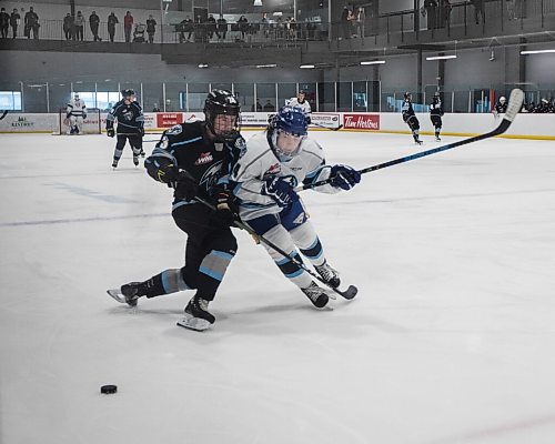 JESSICA LEE/WINNIPEG FREE PRESS

Foxx McColl (3) defends the puck while Ben Zioty (4) tries to get it.

Winnipeg ICE hosted a showcase game on September 6, 2021 which featured the players in their training camp.

Reporter: Mike S