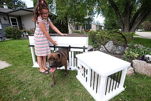JOHN WOODS / WINNIPEG FREE PRESS
Nora Proutt shows how easy it is for her dog Callie to use one of her parents kennels outside her home in Selkirk Wednesday, September 8, 2021. Matt and Kaelyn Proutt have started M+K Wood Co., a business that started as a cabinet supplier but now turns out custom, wooden kennels for dogs.

Reporter: ?
