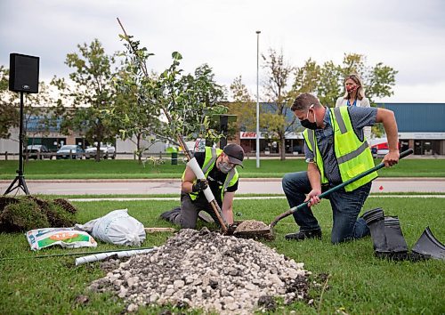 JESSICA LEE/WINNIPEG FREE PRESS

Tree planters dig a hole to plant a tree on September 9, 2021 at the Winnipeg Boeing headquarters. The event was held to celebrate Boeings 50th anniversary. Boeing will be planting 50 trees.

Reporter: Martin