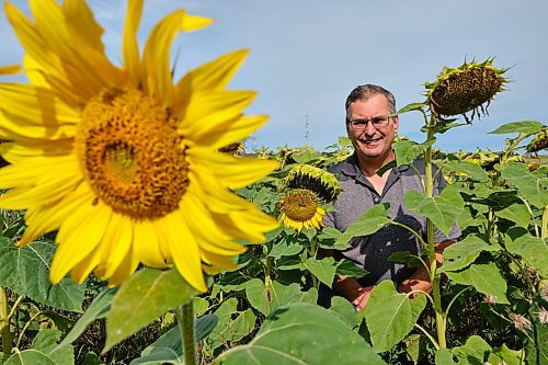 MIKE DEAL / WINNIPEG FREE PRESS
Dan DeRuyck who runs Top Of The Hill Farm with his wife, Fran, south of Treherne, MB. The organic farmers introduced sunflowers into their rotation a few years ago.
See Jen Zoratti story for Farm-to-table feature.
210910 - Friday, September 10, 2021.