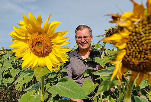 MIKE DEAL / WINNIPEG FREE PRESS
Dan DeRuyck who runs Top Of The Hill Farm with his wife, Fran, south of Treherne, MB. The organic farmers introduced sunflowers into their rotation a few years ago.
See Jen Zoratti story for Farm-to-table feature.
210910 - Friday, September 10, 2021.