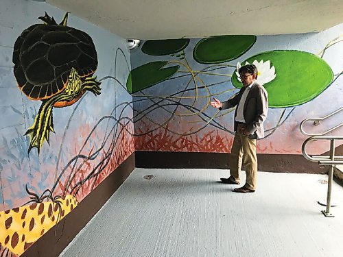 Canstar Community News St. Vital city councillor Brian Mayes takes in the new mural in the pedestrian tunnel underneath Fermor Avenue which connects the St. Vital Library to the YMCA and Glenlawn Collegiate.