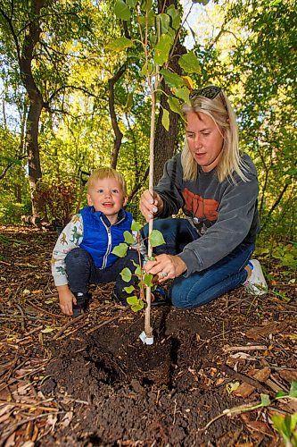 MIKE DEAL / WINNIPEG FREE PRESS
Theo Fehr, 2, with his mother, Rachel, plants a poplar sapling in the riparian forest along the Assiniboine River as the Assiniboine Park Conservancy Autumn Adventures Nature Tots program celebrates National Tree Day.
210922 - Wednesday, September 22, 2021.