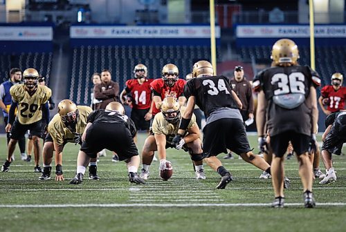 JESSICA LEE / WINNIPEG FREE PRESS

Bisons offensive lineman Matteo Vaccaro (67) holds the ball on September 22, 2021 during a practice at IG Field.

Reporter: Mike S.
