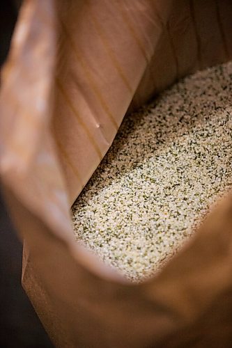 MIKAELA MACKENZIE / WINNIPEG FREE PRESS

Hemp hearts at River Valley Farms west of Portage La Prairie on Tuesday, Sept. 21, 2021.  For Randall King story.
Winnipeg Free Press 2021.