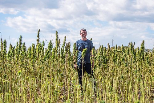 MIKAELA MACKENZIE / WINNIPEG FREE PRESS

James Kuhl, COO of River Valley Farms, poses for a portrait in a hemp field being harvested west of Portage La Prairie on Tuesday, Sept. 21, 2021.  For Randall King story.
Winnipeg Free Press 2021.