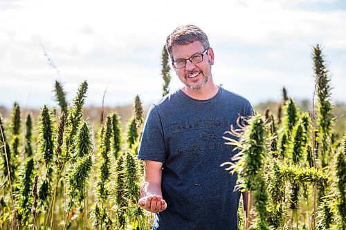 MIKAELA MACKENZIE / WINNIPEG FREE PRESS

James Kuhl, COO of River Valley Farms, poses for a portrait in a hemp field being harvested west of Portage La Prairie on Tuesday, Sept. 21, 2021.  For Randall King story.
Winnipeg Free Press 2021.