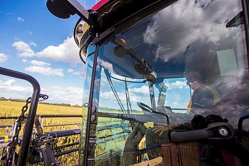 MIKAELA MACKENZIE / WINNIPEG FREE PRESS

Wilmar Wiebe harvests hemp for River Valley Farms west of Portage La Prairie on Tuesday, Sept. 21, 2021.  For Randall King story.
Winnipeg Free Press 2021.