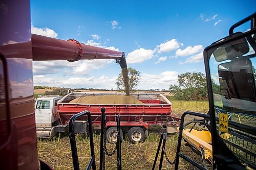 MIKAELA MACKENZIE / WINNIPEG FREE PRESS

Hemp seeds are poured into a truck after being harvested for River Valley Farms west of Portage La Prairie on Tuesday, Sept. 21, 2021.  For Randall King story.
Winnipeg Free Press 2021.