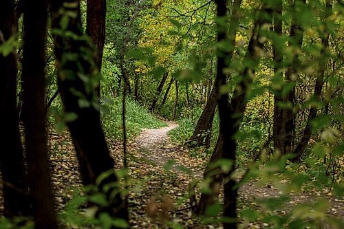 MIKAELA MACKENZIE / WINNIPEG FREE PRESS

Trails along the river between The Forks and Churchill Drive in Winnipeg on Friday, Sept. 24, 2021.  For Ryan story.
Winnipeg Free Press 2021.