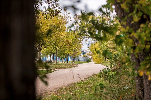 MIKAELA MACKENZIE / WINNIPEG FREE PRESS

The River Trail between The Forks and Churchill Drive in Winnipeg on Friday, Sept. 24, 2021.  For Ryan story.
Winnipeg Free Press 2021.