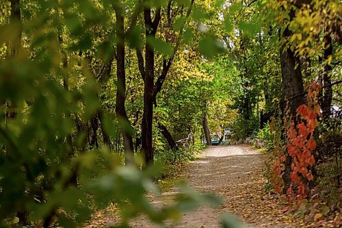 MIKAELA MACKENZIE / WINNIPEG FREE PRESS

The River Trail between The Forks and Churchill Drive in Winnipeg on Friday, Sept. 24, 2021.  For Ryan story.
Winnipeg Free Press 2021.