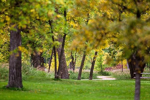 MIKAELA MACKENZIE / WINNIPEG FREE PRESS

The River Trail along Churchill Drive in Winnipeg on Friday, Sept. 24, 2021.  For Ryan story.
Winnipeg Free Press 2021.