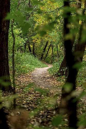 MIKAELA MACKENZIE / WINNIPEG FREE PRESS

Trails along the river between The Forks and Churchill Drive in Winnipeg on Friday, Sept. 24, 2021.  For Ryan story.
Winnipeg Free Press 2021.