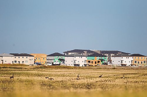 MIKAELA MACKENZIE / WINNIPEG FREE PRESS

New houses under construction in Waverley West in Winnipeg on Tuesday, Sept. 28, 2021. For --- story.
Winnipeg Free Press 2021.