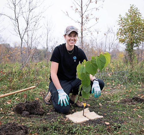 JESSICA LEE / WINNIPEG FREE PRESS

Alanna Sharman, a grad student with Asper School of Business poses for a photo on October 8, 2021 in between planting a tree.

This past summer, seven students from the Asper School of Business researched sustainable businesses in Winnipeg, but because of COVID, they met with the businesses virtually and could not give physical tokens of appreciation. Instead, they are planting 25 trees along the Red River in Fort Garry as a gesture of thanks.



