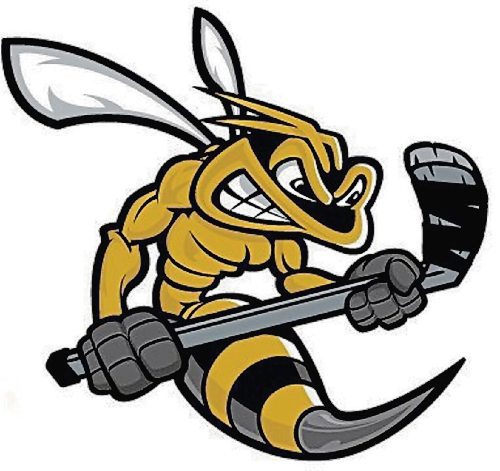 Canstar Community News Oct. 5, 2021 - A concept logo for the Macdonald Swarm featured on both their home and away jerseys. (SUPPLIED PHOTO)