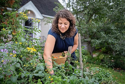JESSICA LEE / WINNIPEG FREE PRESS

Getty Stewart, a local chef, picks produce on October 8, 2021, in her front yard where she keeps a garden filled with a variety of vegetables and herbs.



