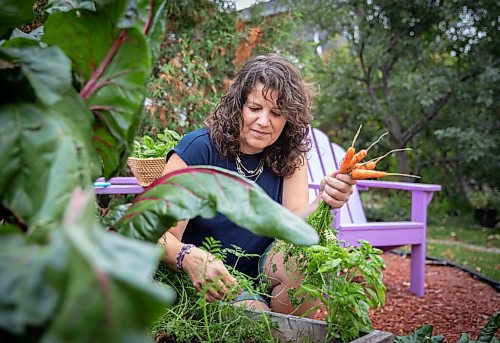 JESSICA LEE / WINNIPEG FREE PRESS

Getty Stewart, a local chef, picks produce on October 8, 2021, from her front yard where she keeps a garden filled with a variety of vegetables and herbs.




