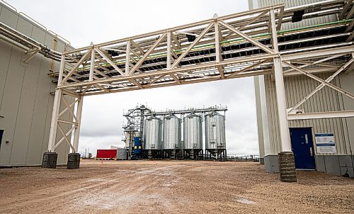 MIKE SUDOMA / Winnipeg Free Press
Silos stored with a reserve of up to four days worth of production ready yellow peas, in case of disruptions in productions due to weather and other supply issues October 14, 2021