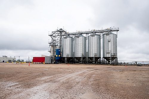 MIKE SUDOMA / Winnipeg Free Press
Silos stored with a reserve of up to four days worth of production ready yellow peas, in case of disruptions in productions due to weather and other supply issues October 14, 2021