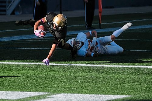 Daniel Crump / Winnipeg Free Press. Bisons running back Birhanu Yitna (88) runs the ball over the line to complete a late game comeback. University of Manitoba Bisons take on the University of Calgary Dinos at IG Field in Winnipeg. October 16, 2021.