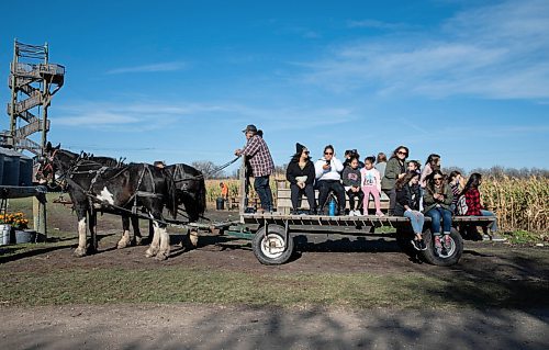 JESSICA LEE / WINNIPEG FREE PRESS

Families and children get a hay ride in St. Adophe on October 17, 2021.






