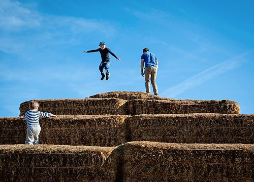 JESSICA LEE / WINNIPEG FREE PRESS

Evan Zilkie, 7, (wearing blue) jumps off haystacks at A Maze in Corn in St. Adophe on October 17, 2021.




