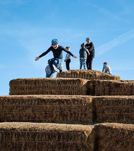 JESSICA LEE / WINNIPEG FREE PRESS

Evan Zilkie, 7, (wearing blue) jumps off haystacks at A Maze in Corn in St. Adophe on October 17, 2021.




