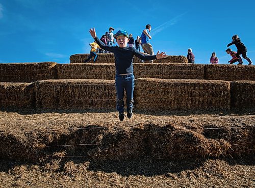 JESSICA LEE / WINNIPEG FREE PRESS

Evan Zilkie, 7, jumps off haystacks at A Maze in Corn in St. Adophe on October 17, 2021.






