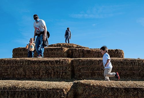 JESSICA LEE / WINNIPEG FREE PRESS

Brady Ehnes, 3 (right), runs on haystacks at A Maze in Corn in St. Adophe on October 17, 2021.






