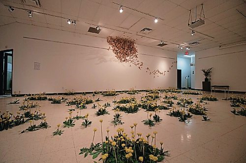 Canstar Community News Oct. 12, 2021 - A landscape shot of Monique Martin's Context is Everything and annus mirabilis displays at the Prairie Fusion Arts Centre in Portage La Prairie. (JOSEPH BERNACKI/CANSTAR COMMUNITY NEWS/HEADLINER)