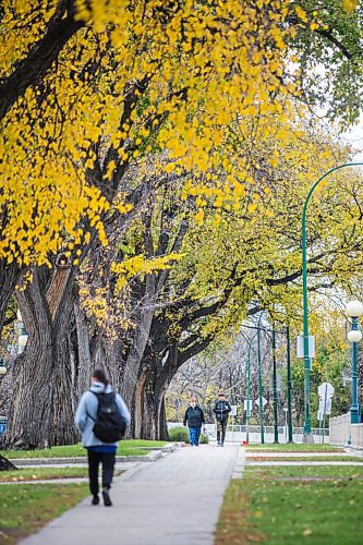 MIKAELA MACKENZIE / WINNIPEG FREE PRESS

Janet Nowakowski (left) and Flora Harper walk along Assiniboine Avenue underneath a canopy of the last fall leaves in Winnipeg on Tuesday, Oct. 19, 2021. Standup.
Winnipeg Free Press 2021.