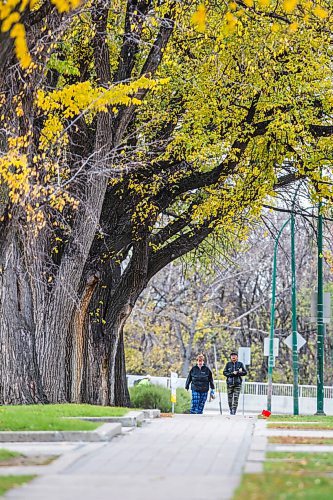 MIKAELA MACKENZIE / WINNIPEG FREE PRESS

Janet Nowakowski (left) and Flora Harper walk along Assiniboine Avenue underneath a canopy of the last fall leaves in Winnipeg on Tuesday, Oct. 19, 2021. Standup.
Winnipeg Free Press 2021.