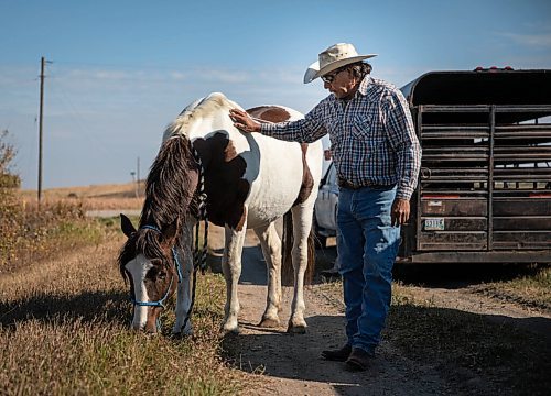 JESSICA LEE / WINNIPEG FREE PRESS
Travis Mazawasicuna of the Sioux Valley Dakota Nation Unity Riders pets his horse during a pit stop at the annual Kidney Walk and Ride on October 10, 2021.
Reporter: Melissa