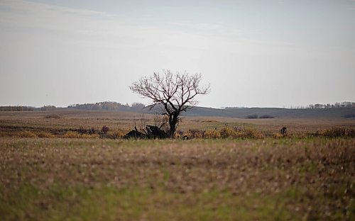 JESSICA LEE / WINNIPEG FREE PRESS

Sioux Valley on October 10, 2021.

Reporter: Melissa