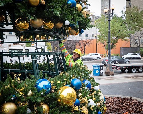 JESSICA LEE / WINNIPEG FREE PRESS

James Honey, a city worker, helps guide the middle part of a Christmas tree to fit the base at City Hall on October 27, 2021.








