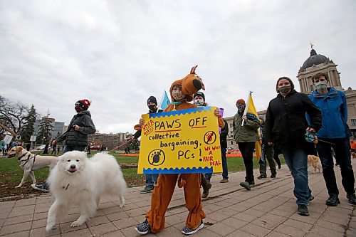 SHANNON VANRAES/WINNIPEG FREE PRESS
Jeremy Schmidt wears a dog costume and walks with a sign as members and supporters of the University of Manitoba Faculty Association take part in a dog walking action at the Legislative Building to protest what the union calls government interference in the collective barging process on October 29, 2021.
