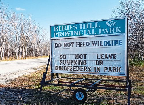 Canstar Community News Driving to Birds Hill Park the other day, correspondent Wendy Hrynkiw spied this sign.  Please dont leave your leftover pumpkin out somewhere for wildlife to feed on.