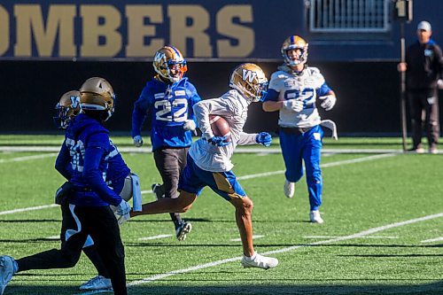 MIKAELA MACKENZIE / WINNIPEG FREE PRESS

Darvin Adams (1) at Bombers practice at IG Field in Winnipeg on Thursday, Nov. 4, 2021. For --- story.
Winnipeg Free Press 2021.