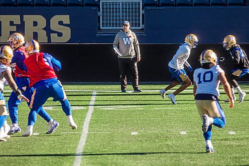 MIKAELA MACKENZIE / WINNIPEG FREE PRESS

Coach Mike O'Shea at Bombers practice at IG Field in Winnipeg on Thursday, Nov. 4, 2021. For --- story.
Winnipeg Free Press 2021.