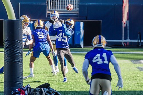 MIKAELA MACKENZIE / WINNIPEG FREE PRESS

DeAundre Alford (45) misses a catch at Bombers practice at IG Field in Winnipeg on Thursday, Nov. 4, 2021. For --- story.
Winnipeg Free Press 2021.