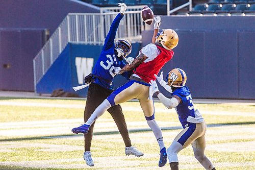 MIKAELA MACKENZIE / WINNIPEG FREE PRESS

Winston Rose (30) fights for a catch at Bombers practice at IG Field in Winnipeg on Thursday, Nov. 4, 2021. For --- story.
Winnipeg Free Press 2021.