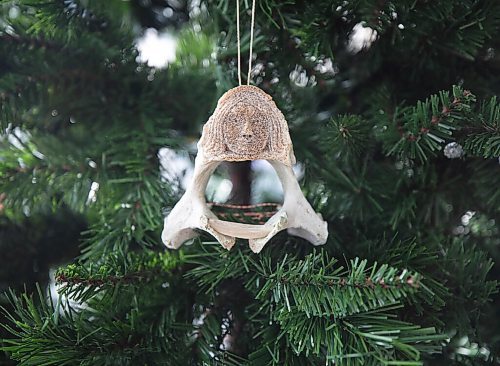 JESSICA LEE / WINNIPEG FREE PRESS

Carvings made by artist Goota Ashoona are hung as ornaments at WAG on November 5, 2021.

Reporter: Jen








